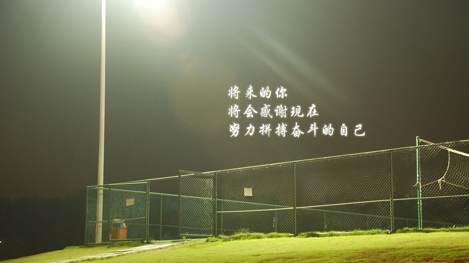2026 年篮球鞋销量排行：安踏、李宁在美加墨市场的占有率分析。，篮球鞋销量排行榜前十名